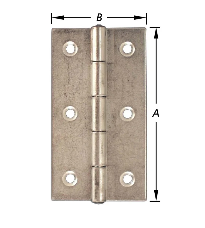 2 Narrow Brass-Plated Hinges 40x25mm