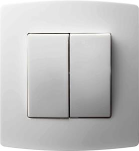 Dubbele Schakelaar Ral9016