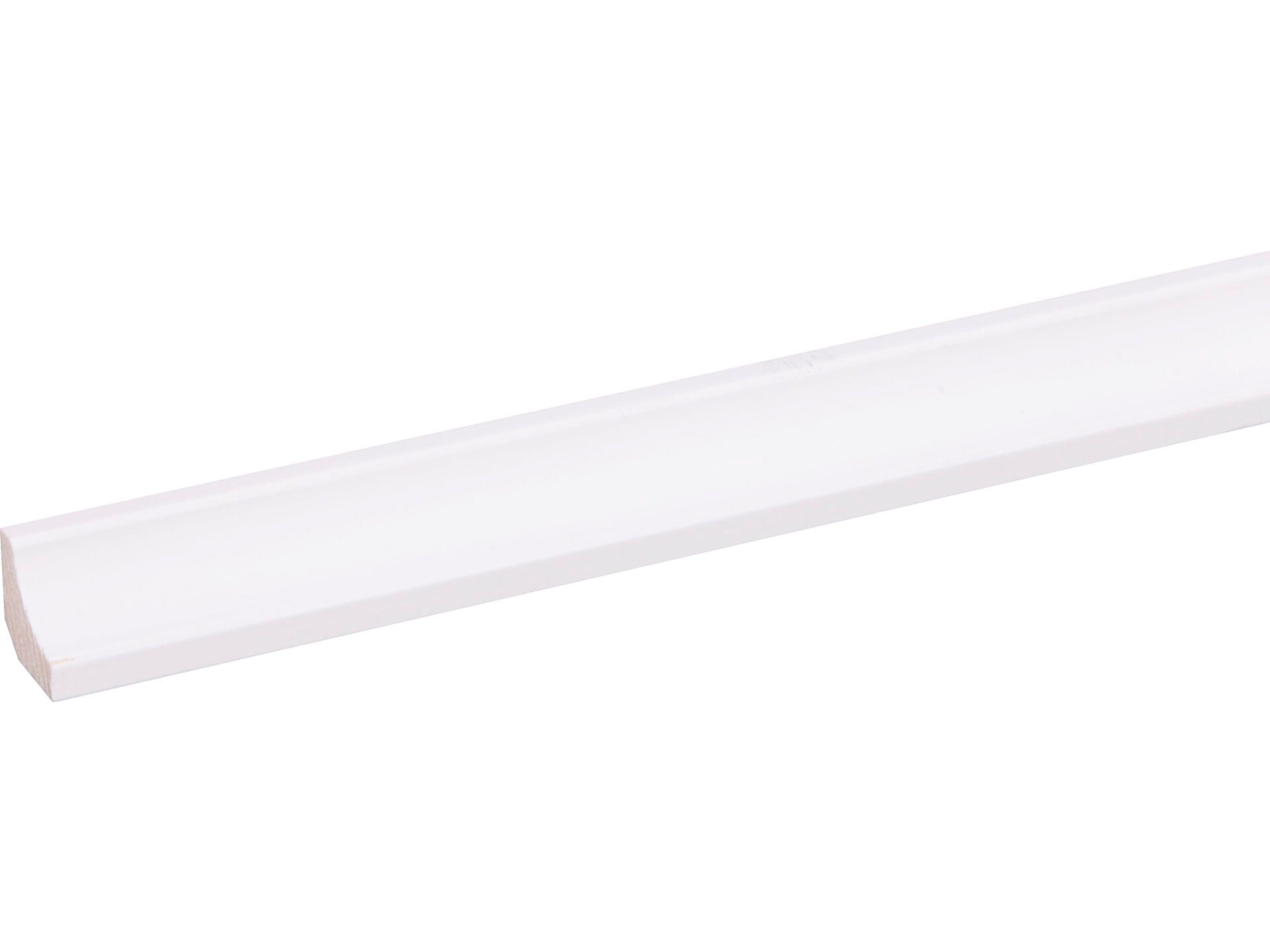 Fsc/hol1818gr Prim 270 3