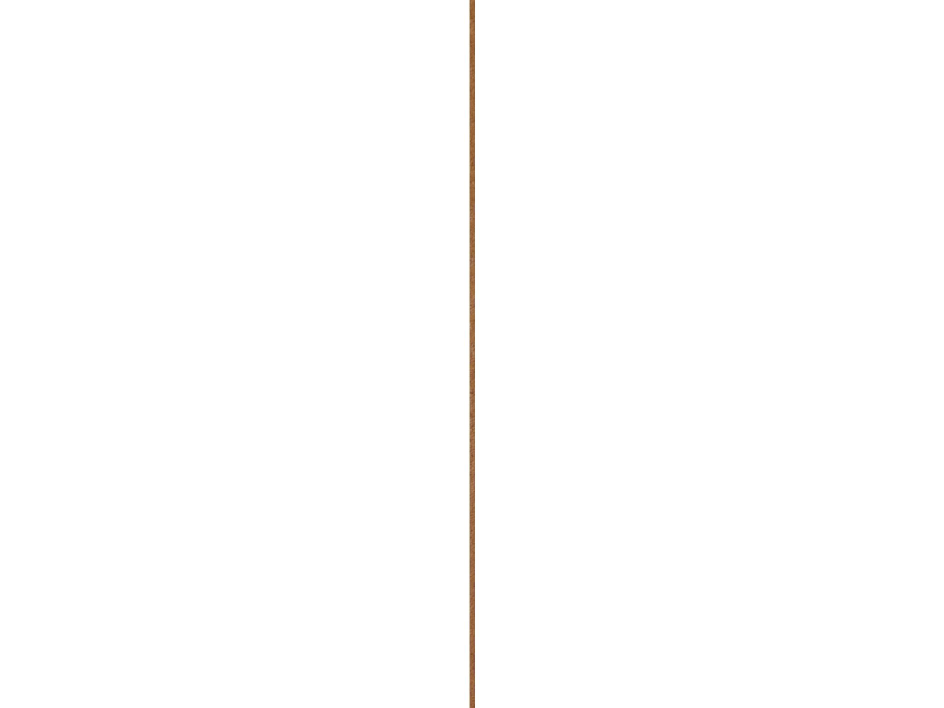 Fsc/sl15x17hardhout 210 cm 5