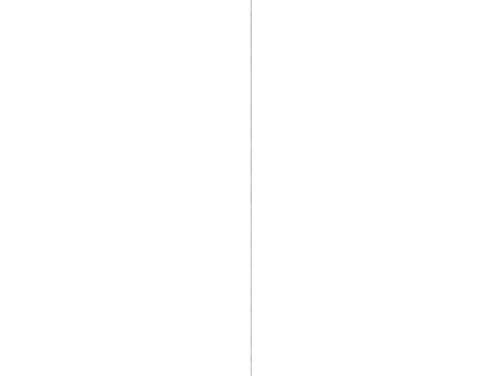 Fsc/sl4x28hardhout 240 cm 6
