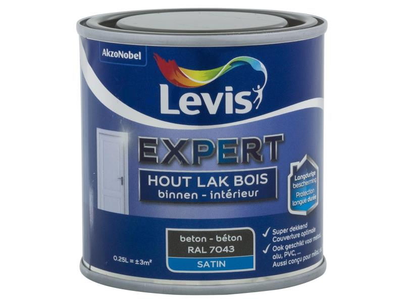 Lv Expert Lak Satin Hout Beton 0.25 l