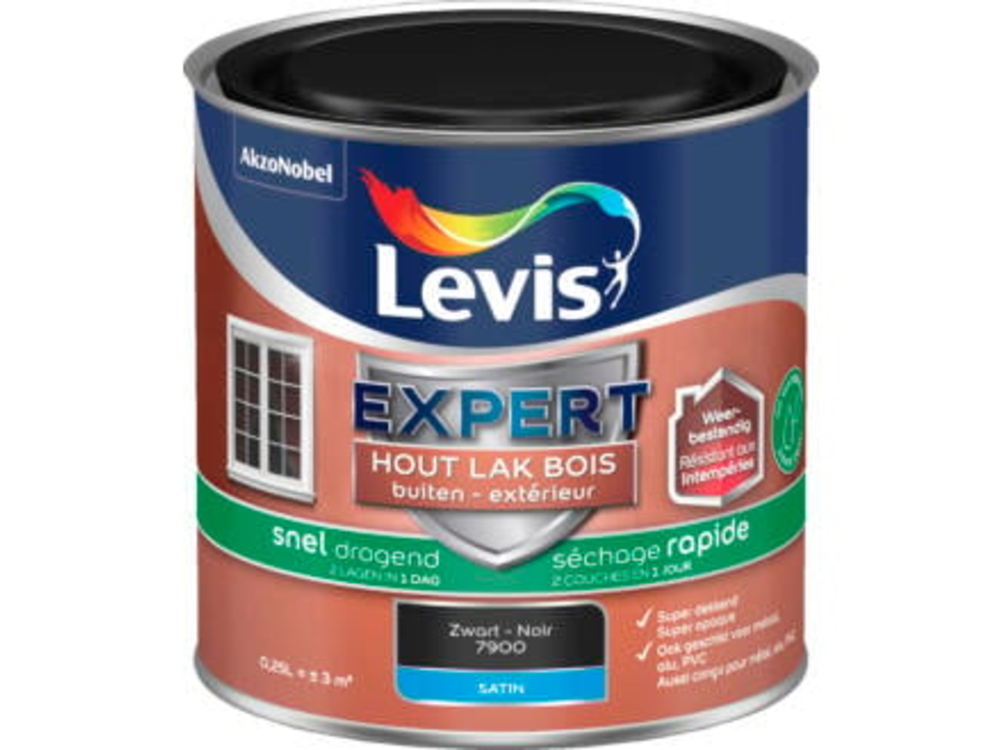 Lv Expert Lak Water 0.25 l Zwart Satin