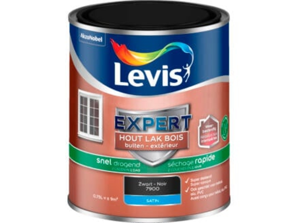 Lv Expert Lak Water 0.75 l Zwart Satin