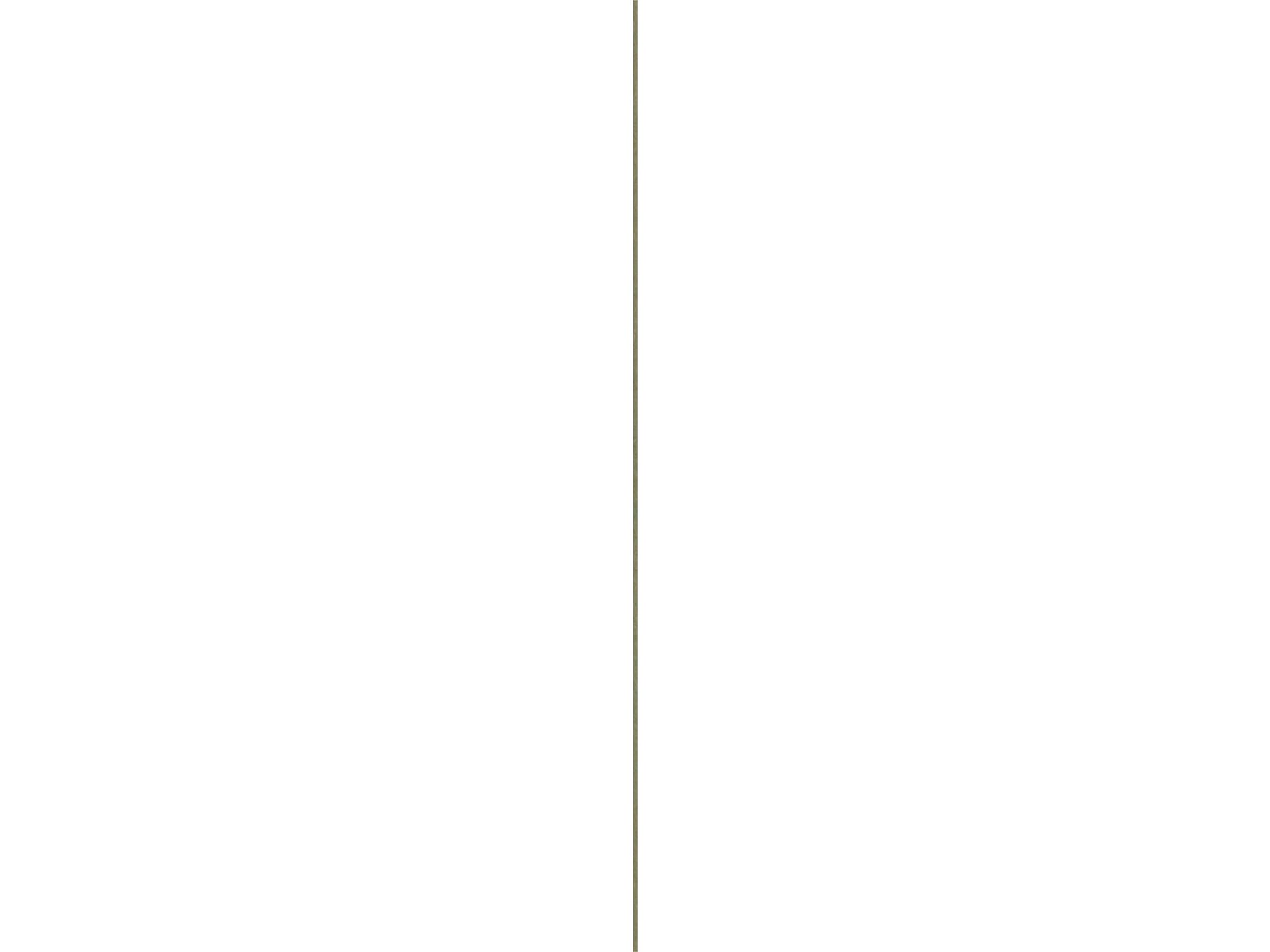 Mdf Chambran Los 12x68mm 220 cm 3