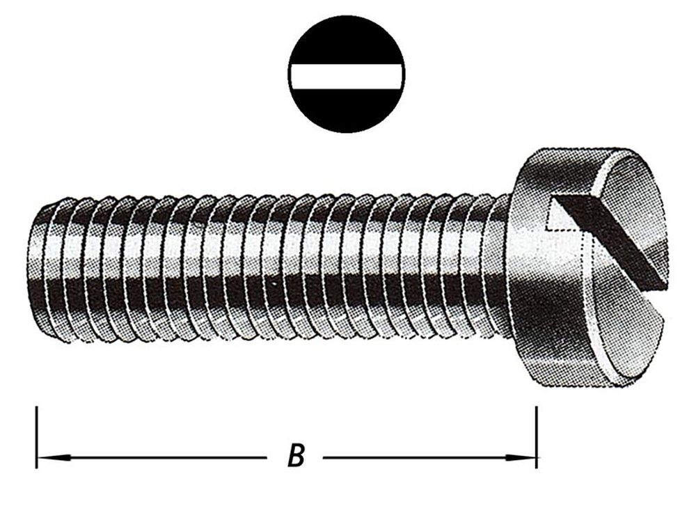 Metaalbouten, Cil.kop, Rvs M4 X 10 mm