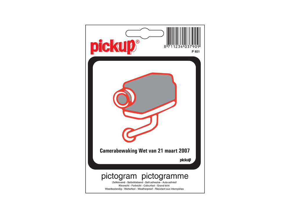 Picto 10x10 Camera Bewaking