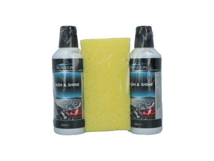 Protecton Wash & Shine