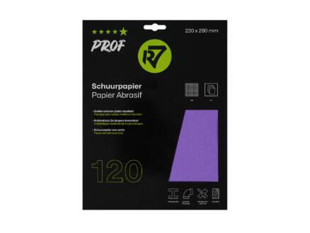 R7 Schuurvellen Prof P120 - 3x