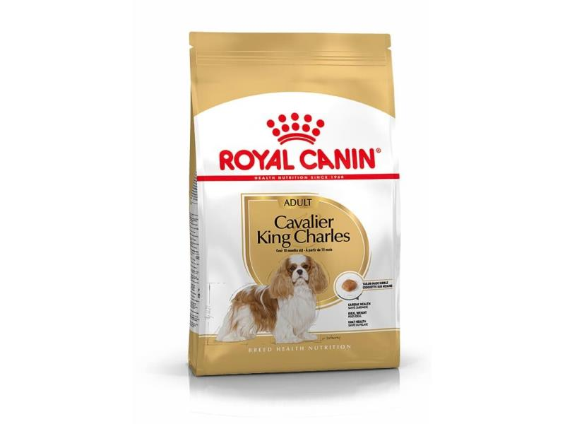 Rc Cavalier King Charles 1,5 kg
