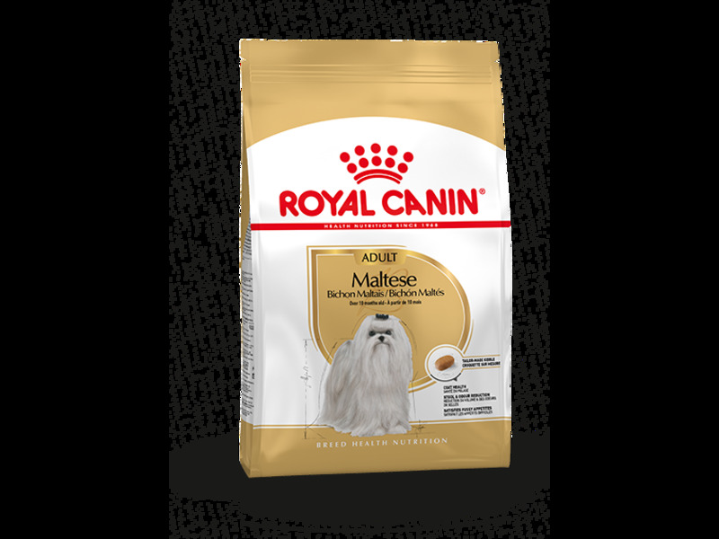 Rc Maltese 1,5 kg