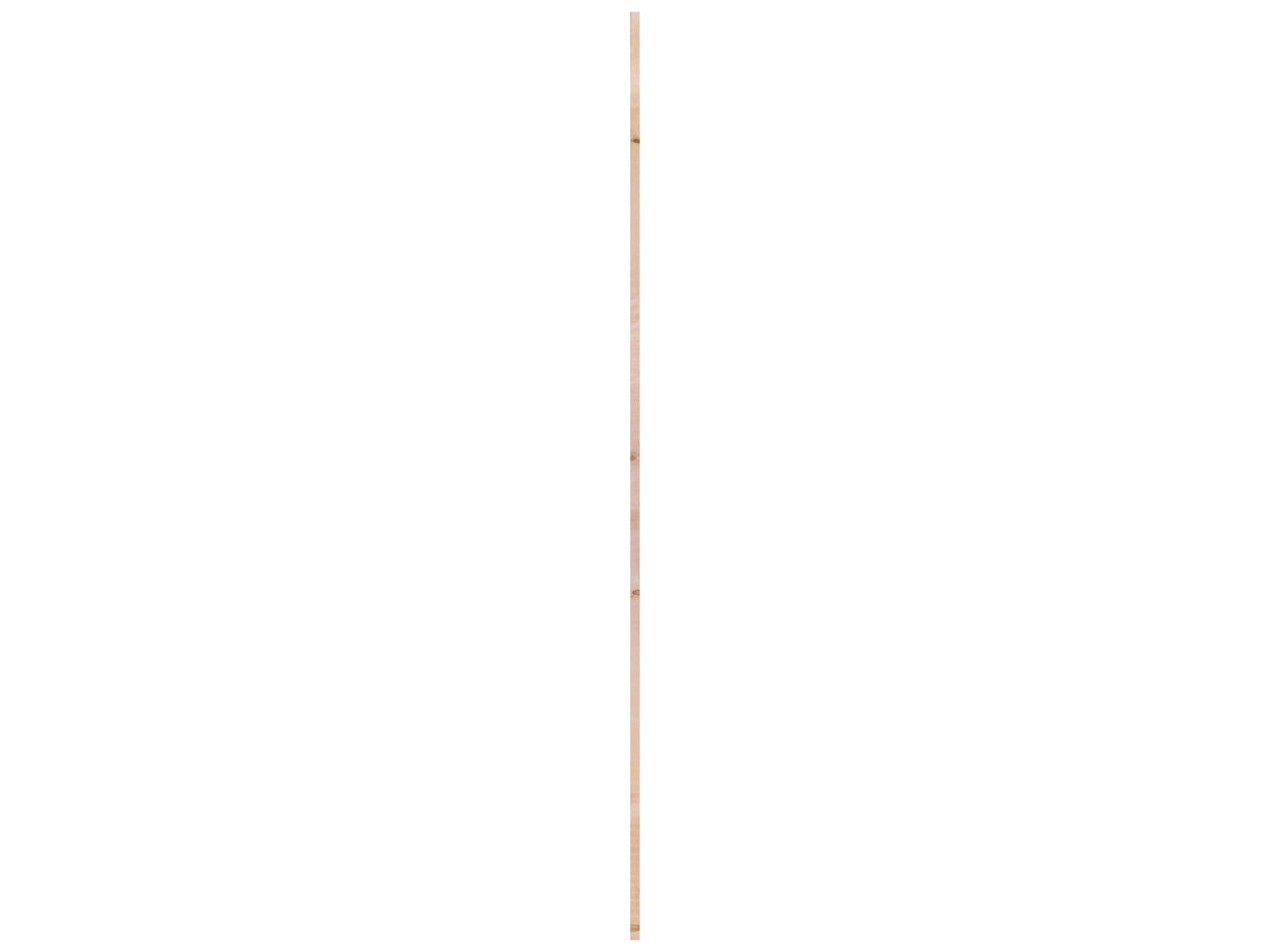 Ruwe Lat Vuren 19x100mm 210 cm 3