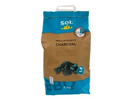 Sol Houtskool 4 kg