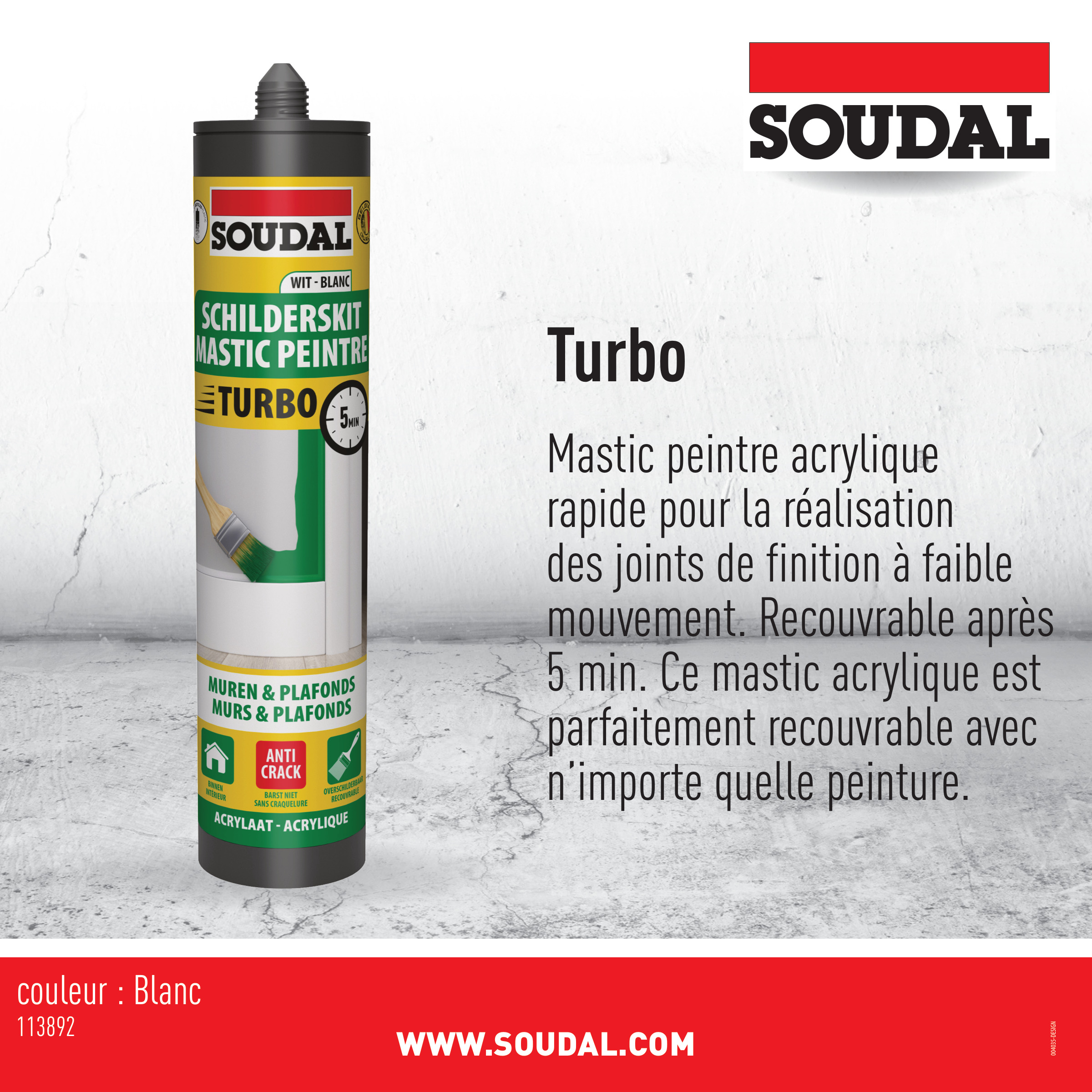 Kit de Peinture Soudal Turbo Blanc 290 ml