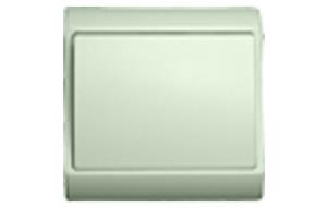 Switch Built-in 1 g-1w - Cream