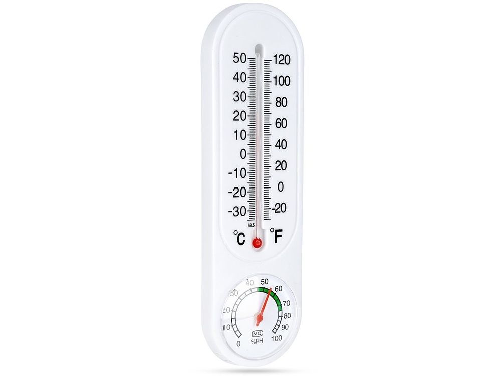 Thermometer met Hygrometer 22 cm 2