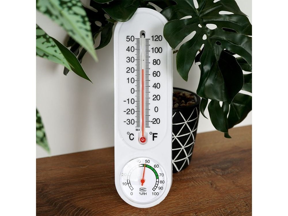 Thermometer met Hygrometer 22 cm 3