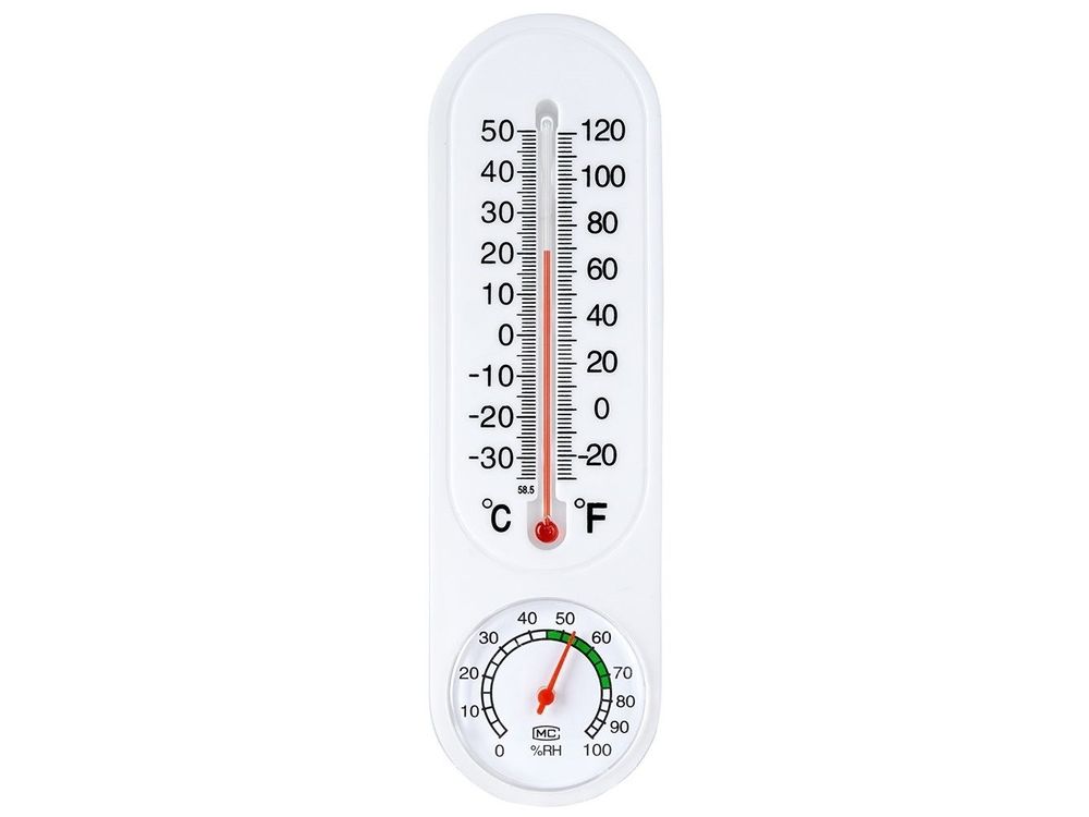 Thermometer met Hygrometer 22 cm 4