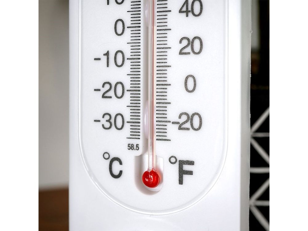 Thermometer met Hygrometer 22 cm 6