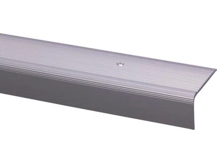 Trapprofiel Zilver 45x23x950mm